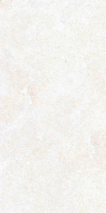 This is an image of the tile product OL Limestone Bianco Matte.