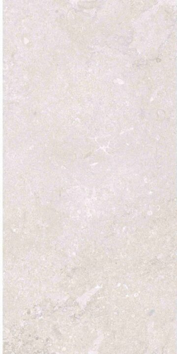 This is an image of the tile product OL Port Land Stone Bianco Matte.