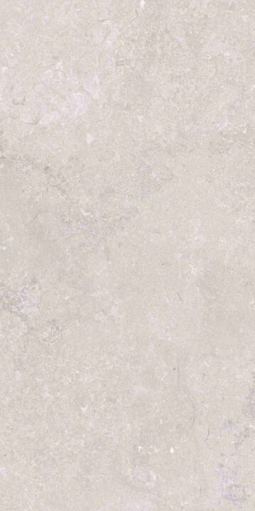 This is an image of the tile product OL Port Land Stone Greige Matte.