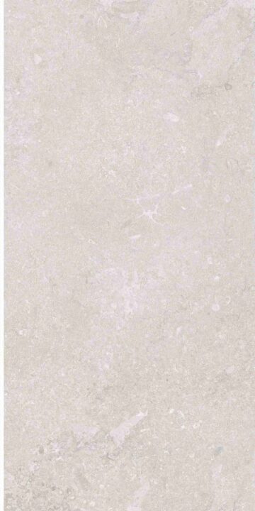 This is an image of the tile product OL Port Land Stone Greige Matte.