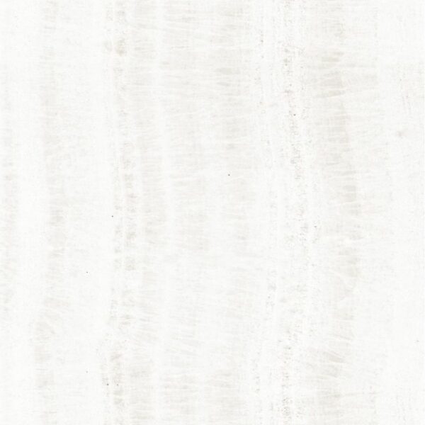 This is an image of the tile product OL Onyx White Matte.