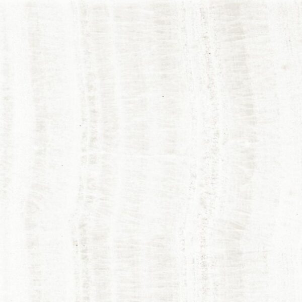 This is an image of the tile product OL Onyx White Polished.