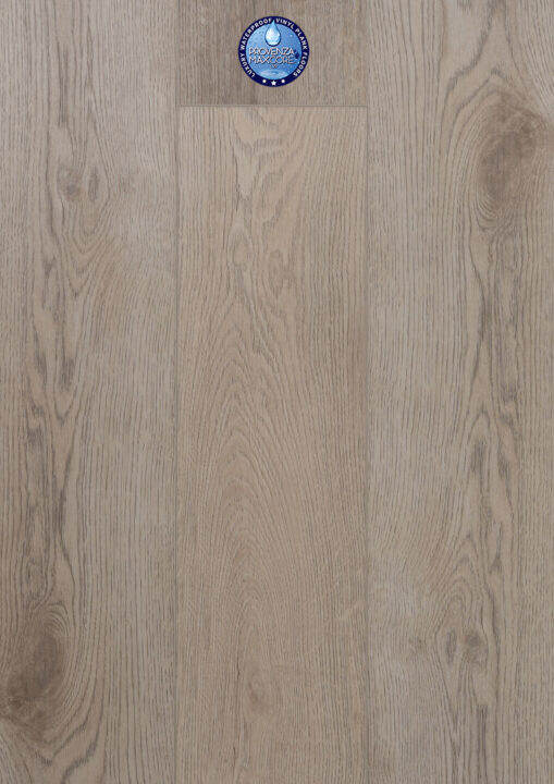 This is an image of the tile product Provenza Concorde Oak Cool Classic 6.5mm.